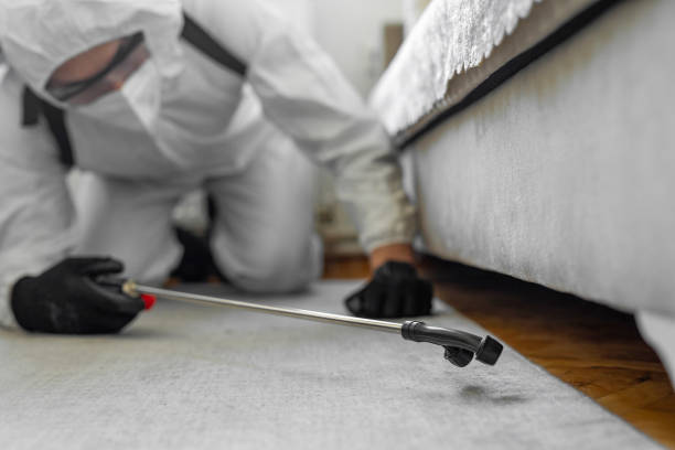 Professional Bed Bug Control technician working in West Perrine, FL