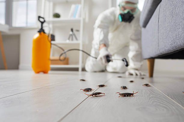 Trusted Fumigation Services service in West Perrine, FL - Nex Pest Control