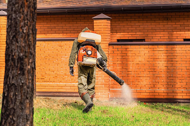 Trusted Emergency Pest Control service in West Perrine, FL - Nex Pest Control